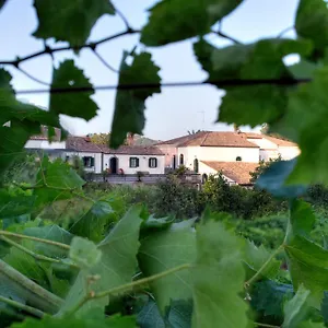 Casa Vacanze Etna Hébergement de vacances